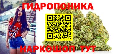 mix Кингисепп